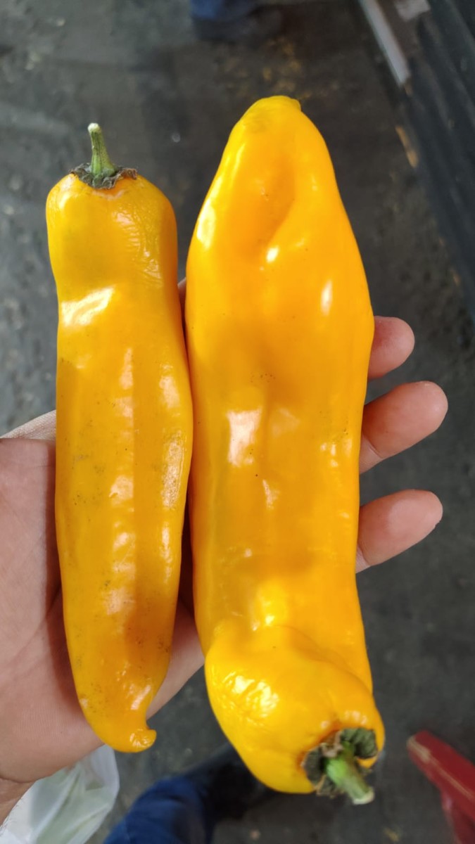 Imagen de WhatsApp 2025-12-12 a las 14.09.40_9bf20f56